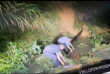 ��ҹ��Ԯ���񰲡��������������������������ʯ�����¾�12��Ⱥ��